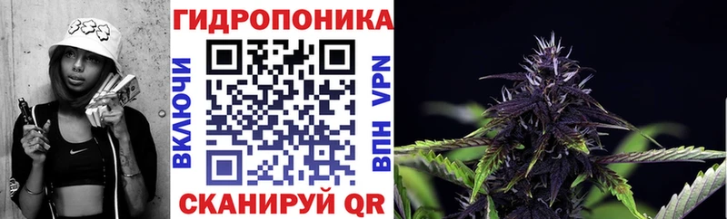 Купить  Красный Сулин  Каннабис Amnesia 